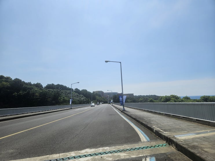 naver-013-015