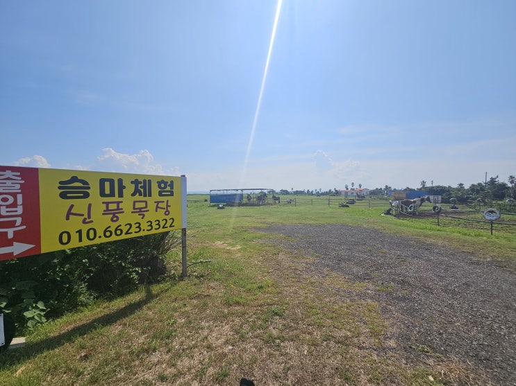 naver-012-011