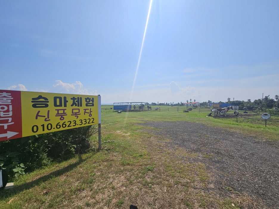 naver-010-067